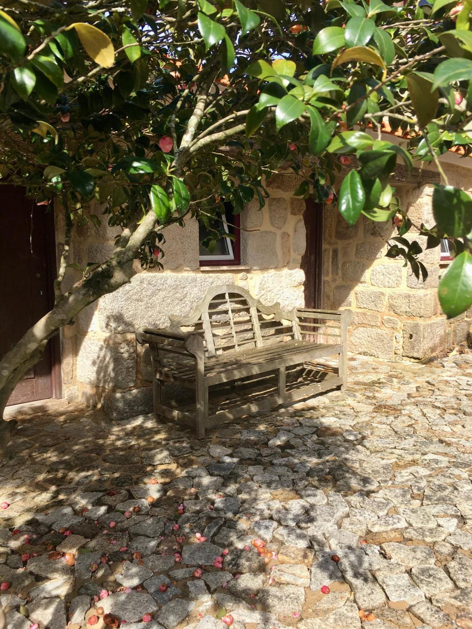 Quinta De Mocamedes - Turismo De Habitacao Hotel Vouzela Exterior foto