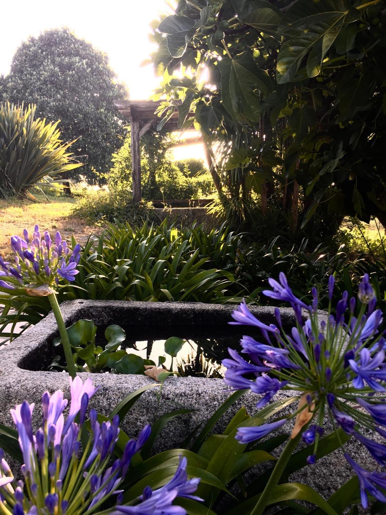 Quinta De Mocamedes - Turismo De Habitacao Hotel Vouzela Exterior foto